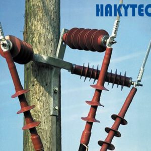 Dau cap trung the Raychem